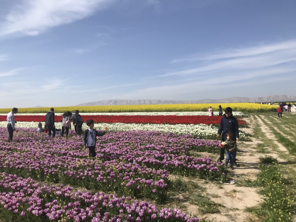 Ali Egemen, Ali Egemen Kimdir, Ali Egemen Referans, Ali Egemen Konya, Ali Egemen 1990 Mülkiye Mezunu, Ali Egemen Yeminli Mali Müşavir, Ali Egemen Referans Yeminli Mali Müşavirlik A.Ş. Ortağı, Ali Egemen Ankara Siyasallılar Vakfı kurucularından, Fotoğraflar icon