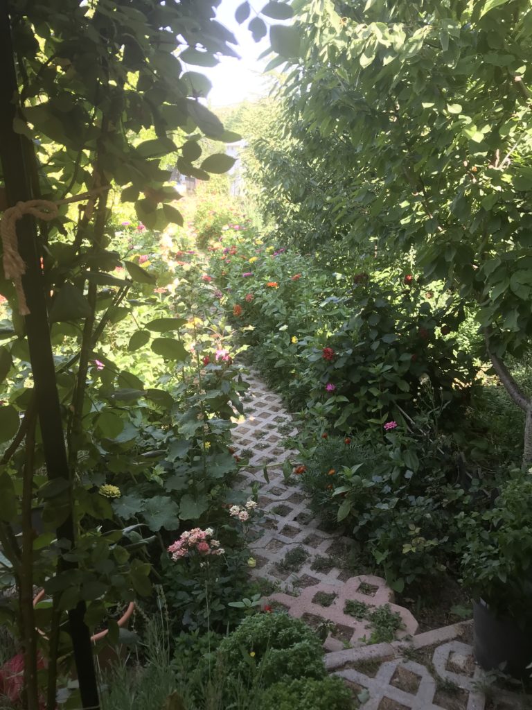 Ali Egemen, Ali Egemen Kimdir, Ali Egemen Referans, Ali Egemen Konya, Ali Egemen 1990 Mülkiye Mezunu, Ali Egemen Yeminli Mali Müşavir, Ali Egemen Referans Yeminli Mali Müşavirlik A.Ş. Ortağı, Ali Egemen Ankara Siyasallılar Vakfı kurucularından, Fotoğraflar icon