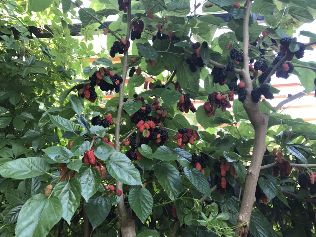 Ali Egemen, Ali Egemen Kimdir, Ali Egemen Referans, Ali Egemen Konya, Ali Egemen 1990 Mülkiye Mezunu, Ali Egemen Yeminli Mali Müşavir, Ali Egemen Referans Yeminli Mali Müşavirlik A.Ş. Ortağı, Ali Egemen Ankara Siyasallılar Vakfı kurucularından, Fotoğraflar icon