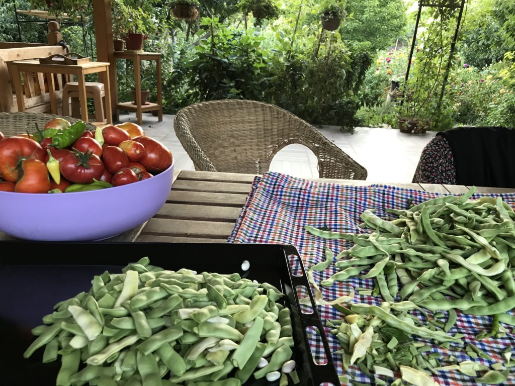 Ali Egemen, Ali Egemen Kimdir, Ali Egemen Referans, Ali Egemen Konya, Ali Egemen 1990 Mülkiye Mezunu, Ali Egemen Yeminli Mali Müşavir, Ali Egemen Referans Yeminli Mali Müşavirlik A.Ş. Ortağı, Ali Egemen Ankara Siyasallılar Vakfı kurucularından, Fotoğraflar icon